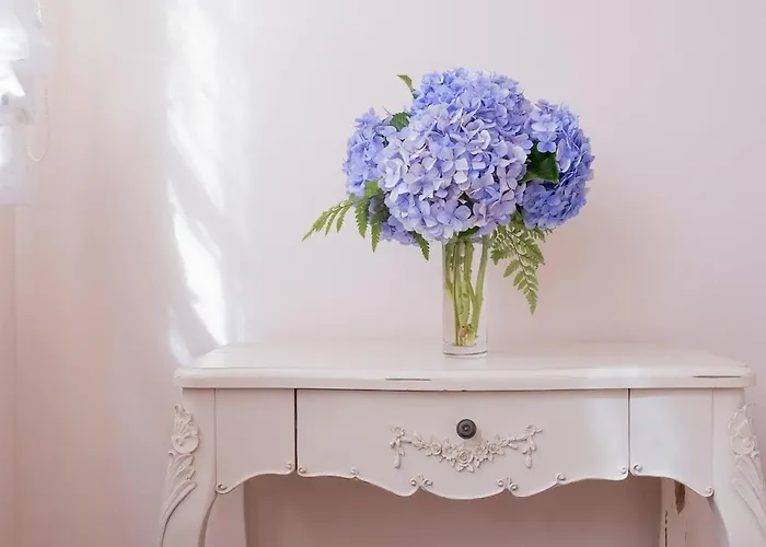 Casa Gurugu 别墅 塔科龙特